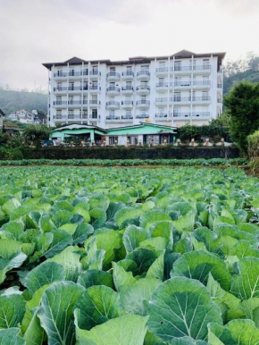 Hotels in Nuwara Eliya